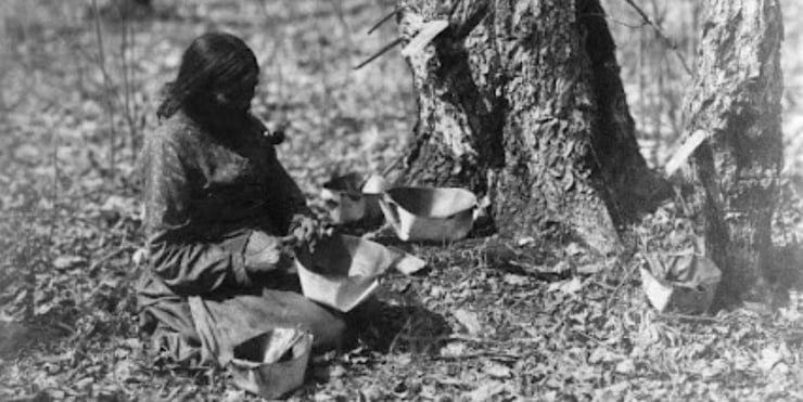 Sugarbush Demonstration .
