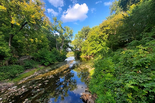 Creek with bright green foliage on either side and a blue sky with clouds above.