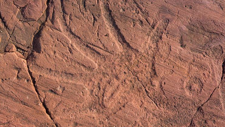 Image representing the sacred rock carvings at Jeffers Petroglyphs, highlighting Native American heritage.