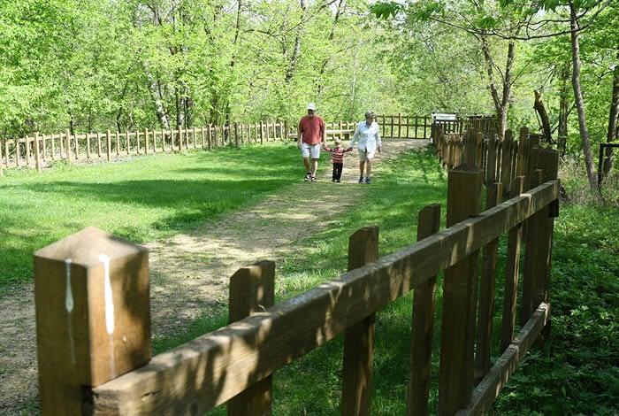 Activities at Marine Mill